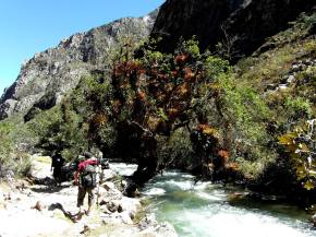 13320412_10207823448523081_6111194482814472706_o